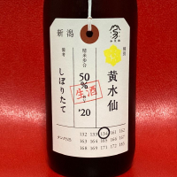 新潟県の酒