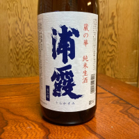 浦霞