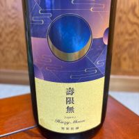 総乃寒菊