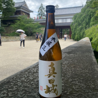 真田城