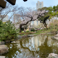 悦凱陣のレビュー by_YASU.SHIRA