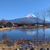 田酒のレビュー by_YASU.SHIRA