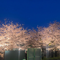 惣邑のレビュー by_YASU.SHIRA