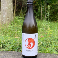 大納川