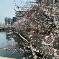 山車のレビュー by_YASU.SHIRA