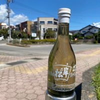 岸の松