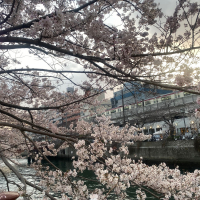 織田信長のレビュー by_YASU.SHIRA