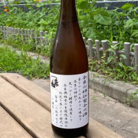 千代乃松