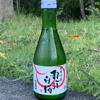 羽前白梅