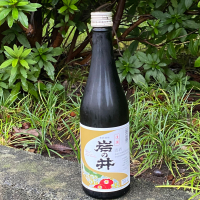 岩の井
