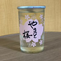 やまと桜