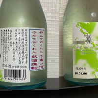 神杉のレビュー by_YASU.SHIRA