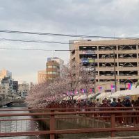 濃姫のレビュー by_YASU.SHIRA