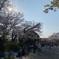 旭若松のレビュー by_YASU.SHIRA