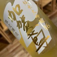 
            加賀鳶_
            succhiiさん