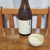 米宗