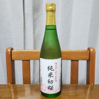 初桜のレビュー by_ガチ