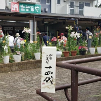 中島屋のレビュー by_ガチ