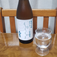 山本