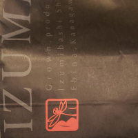 いづみ橋のレビュー by_ガチ