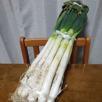 鏡山のレビュー by_ガチ