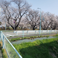 豊明のレビュー by_ガチ