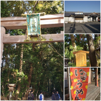 みむろ杉のレビュー by_ガチ