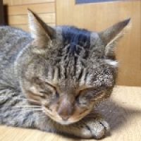 umetaro