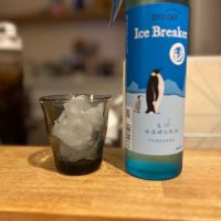 Ice Breaker