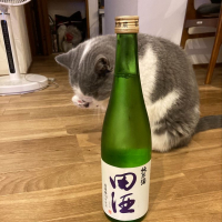 田酒