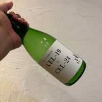高知県の酒