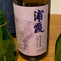 浦霞
