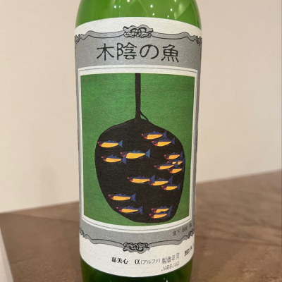 木陰の魚のレビュー by_パピ