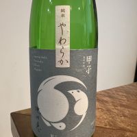 甲子のレビュー by_パピ