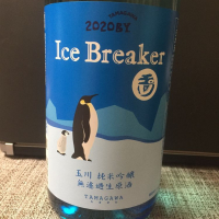 Ice Breaker