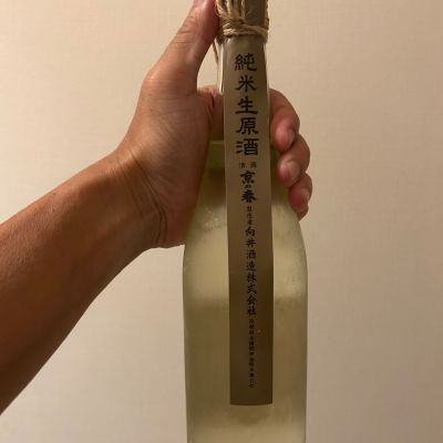 京の春のレビュー by_nobushuran