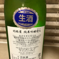 羽根屋のレビュー by_Hidesan