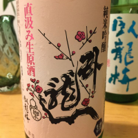 
            臥龍梅_
            ちみさん