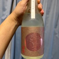 龍勢