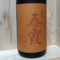 春霞
