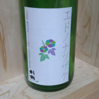 杉錦