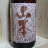 山本