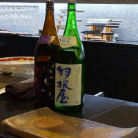 
            羽根屋_
            ちょいあーさん