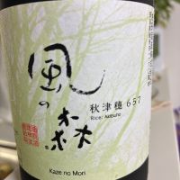 風の森
