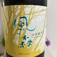 風の森