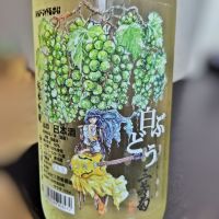三芳菊
