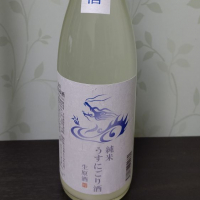 永平寺白龍