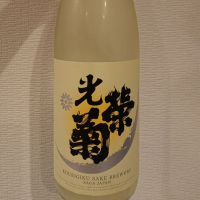 
            光栄菊_
            ダウマンさん