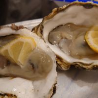 鳳凰美田のレビュー by_ダウマン