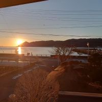 陽乃鳥のレビュー by_ダウマン